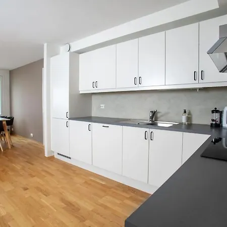 Modern 3br Downtown Apt, Free Parking, High Standard Daire